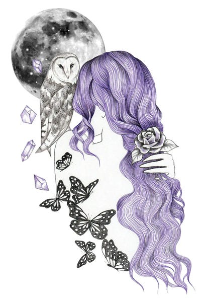 Nature Renewal: Night Birds by Andrea Hrnjak