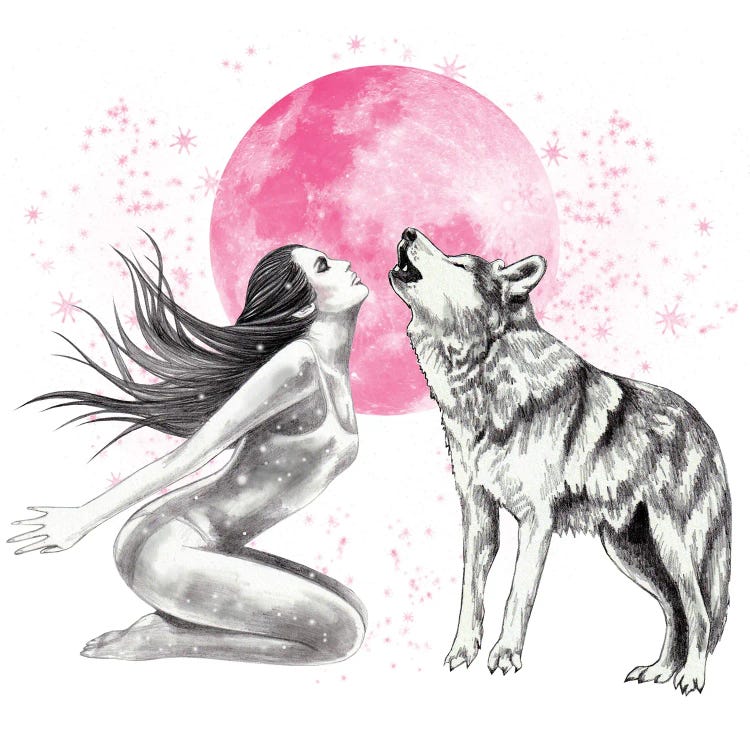 Pink Moon Magic by Andrea Hrnjak wall art