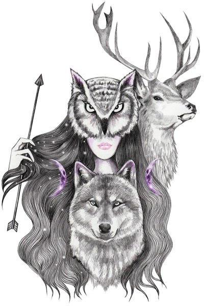 Wolves: Artemis by Andrea Hrnjak