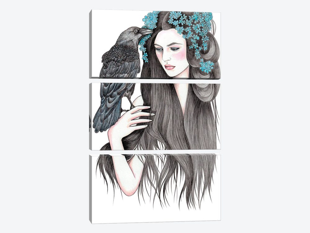 Crow by Andrea Hrnjak 3-piece Canvas Art Print