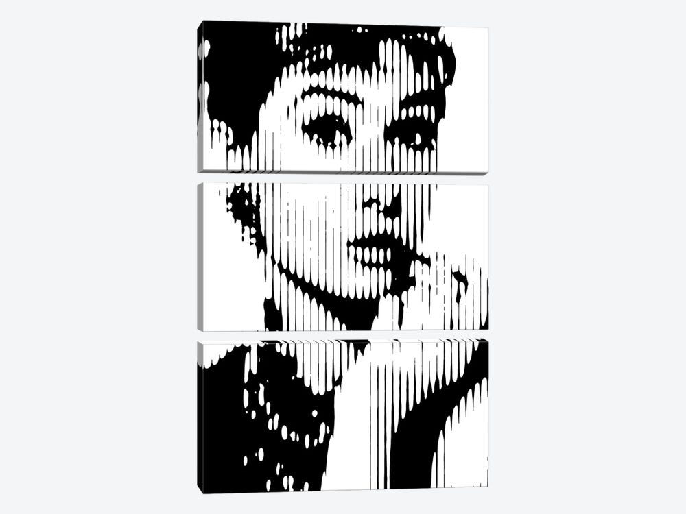 Audrey Hepburn III by Ahmad Shariff 3-piece Canvas Print