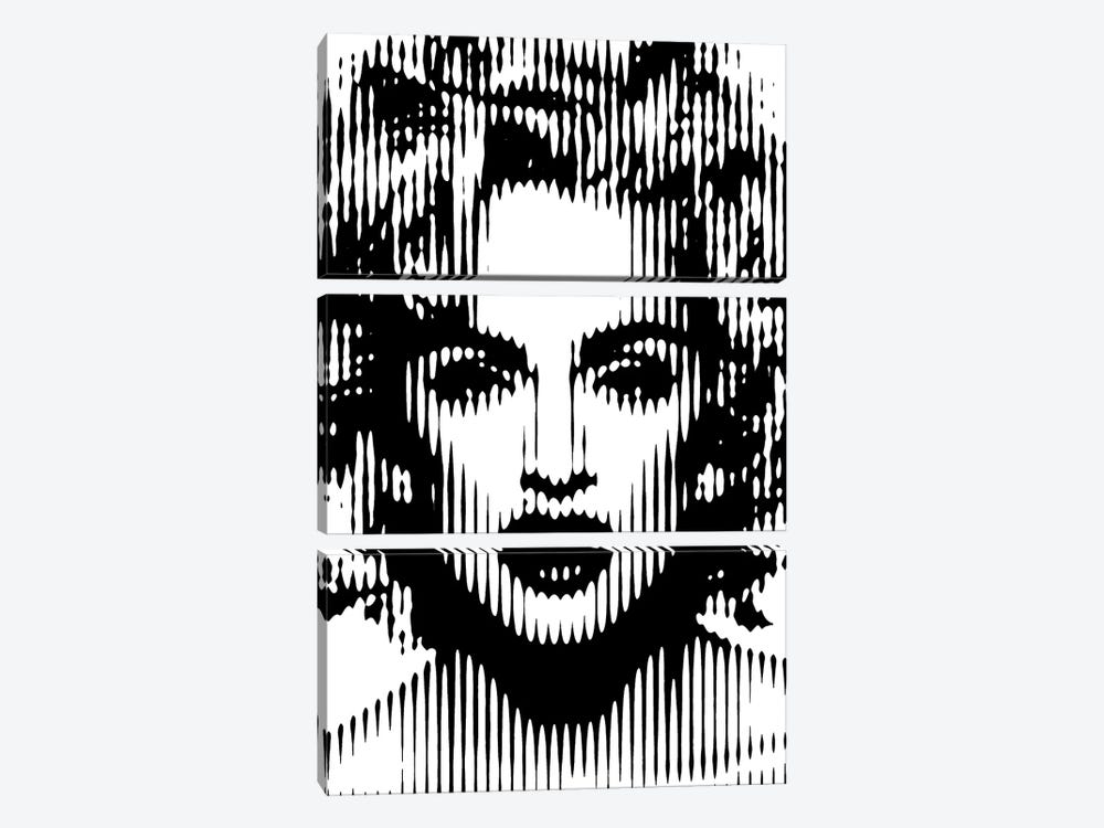 Madonna by Ahmad Shariff 3-piece Canvas Art Print