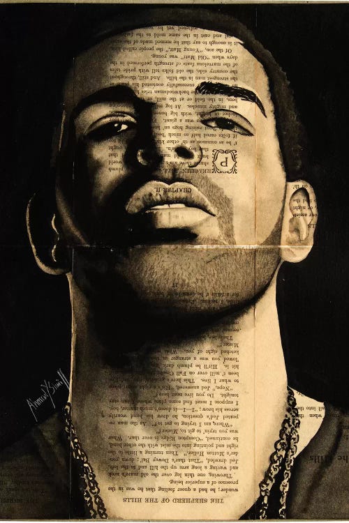 Drake by Ahmad Shariff wall art