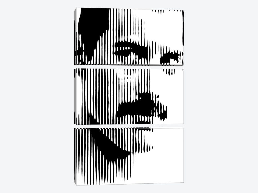 Freddie Mercury by Ahmad Shariff 3-piece Canvas Wall Art