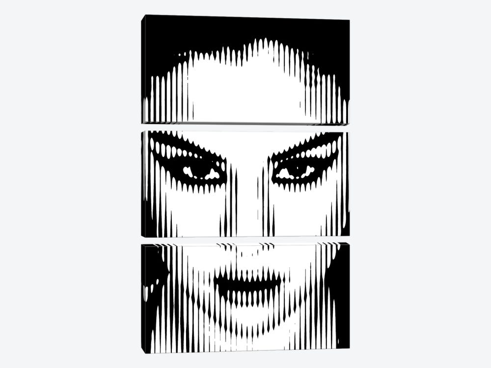 Selena by Ahmad Shariff 3-piece Canvas Print