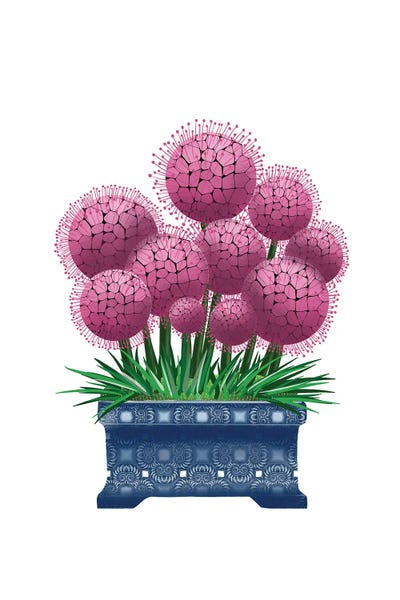 Alliums: Blue Pot Alliums by Ann Hutchinson