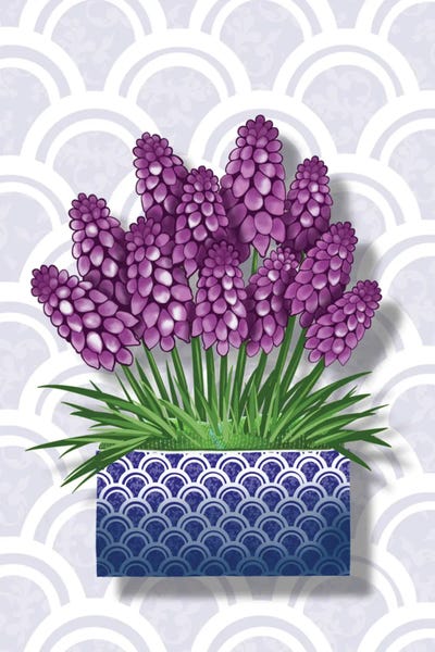 Blue Pot Hyacinth by Ann Hutchinson art print