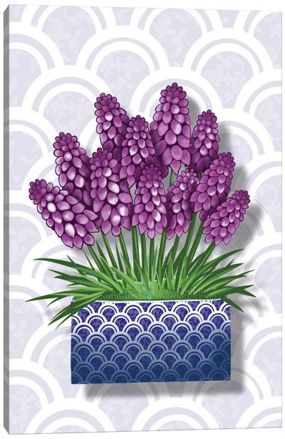 Blue Pot Hyacinth Canvas Art Print - Ann Hutchinson