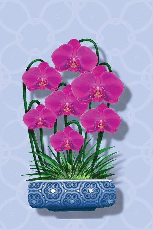 Blue Pot Orchid