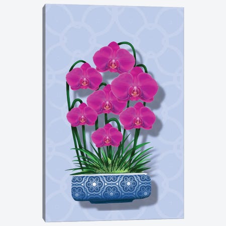 Blue Pot Orchid Canvas Print #AHT16} by Ann Hutchinson Canvas Artwork