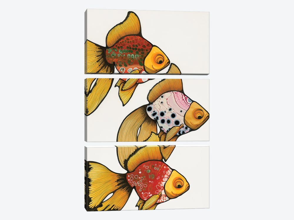 3 Goldfish by Ann Hutchinson 3-piece Art Print
