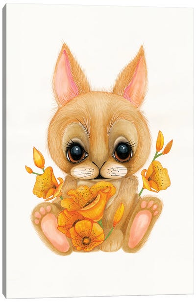 Bunny Canvas Art Print - Ann Hutchinson