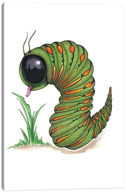 Caterpillar Big Eye Canvas Art Print - Ann Hutchinson