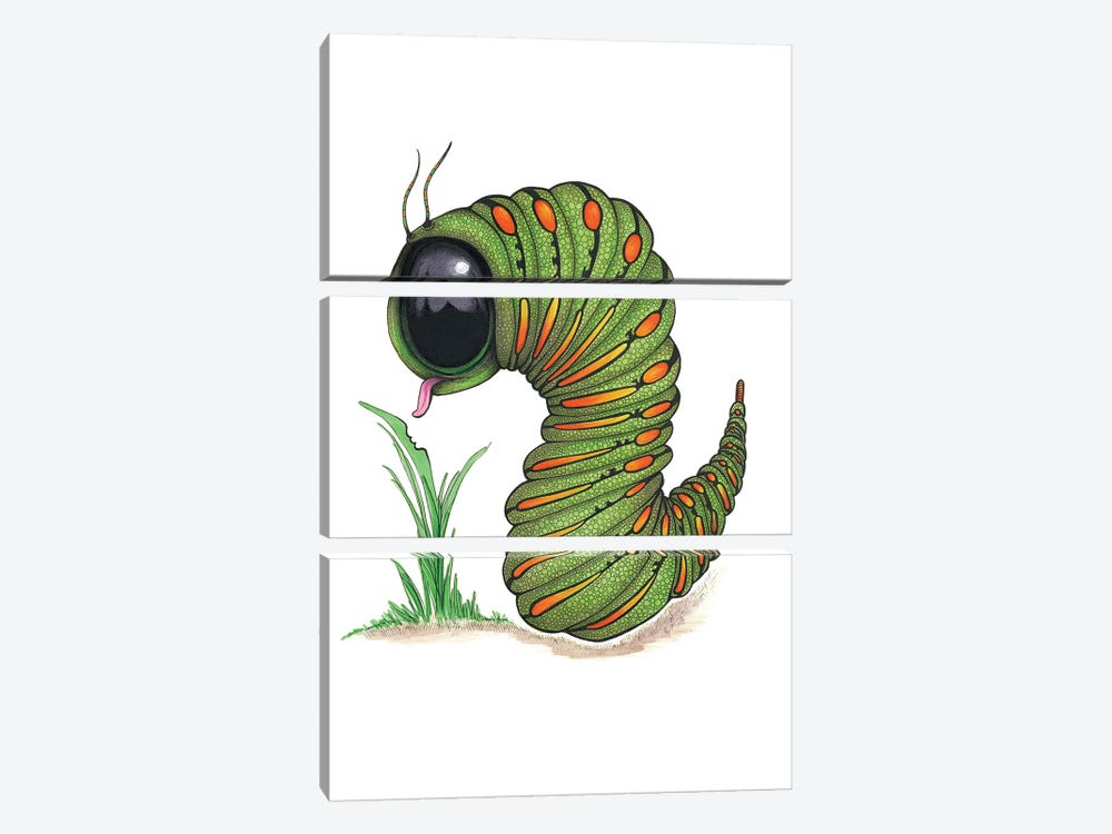 Caterpillar Big Eye by Ann Hutchinson 3-piece Canvas Art Print