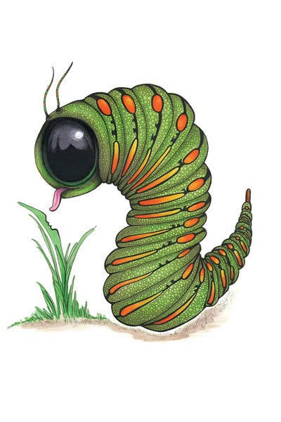 Ann Hutchinson: Caterpillar Big Eye by Ann Hutchinson