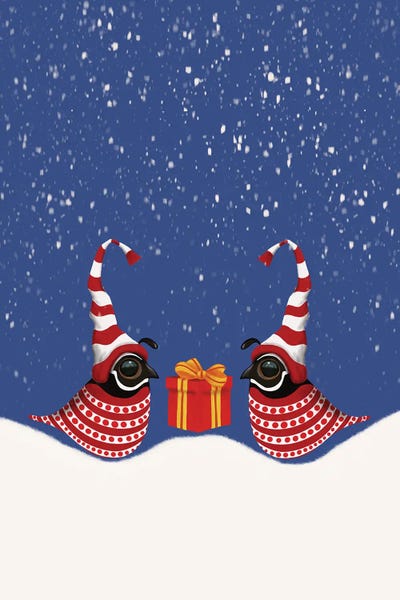 Quails: Chris Quails II by Ann Hutchinson