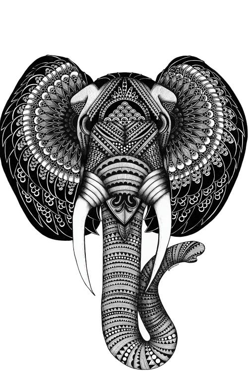 Elephant "Elvis" by Ann Hutchinson wall art