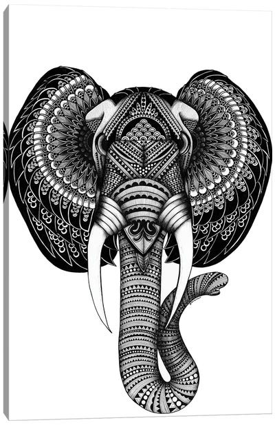 Elephant "Elvis" Canvas Art Print - Ann Hutchinson