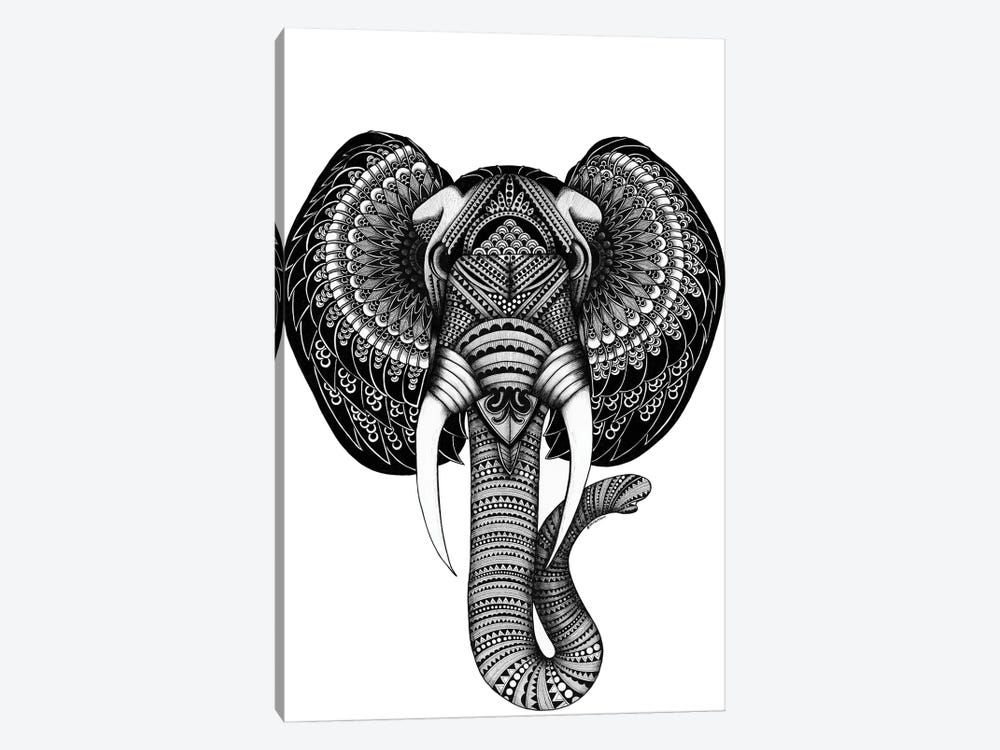 Elephant "Elvis" by Ann Hutchinson 1-piece Canvas Artwork