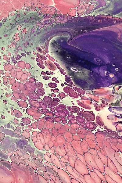 Eye Of The Pink Cyclone by Ann Hutchinson canvas print