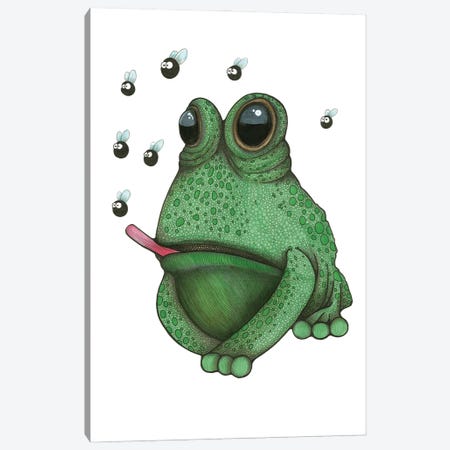 Frog Likes Flies Canvas Print #AHT39} by Ann Hutchinson Canvas Art Print