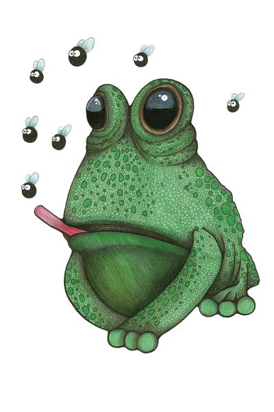 Ann Hutchinson: Frog Likes Flies by Ann Hutchinson