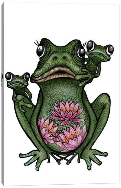 Frogs Canvas Art Print - Ann Hutchinson