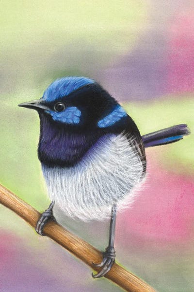 Little Blue