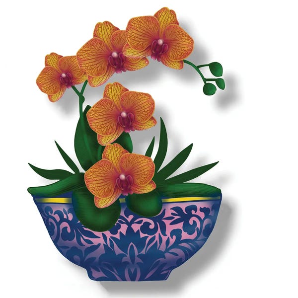 Orchids: Bazaart by Ann Hutchinson