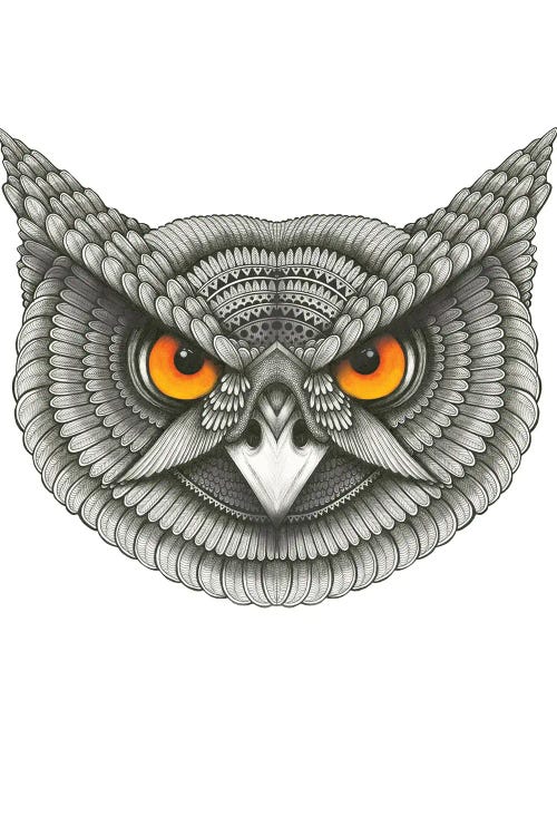 Owl Have by Ann Hutchinson wall art