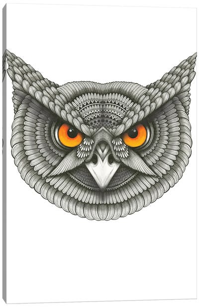 Owl Have Canvas Art Print - Ann Hutchinson