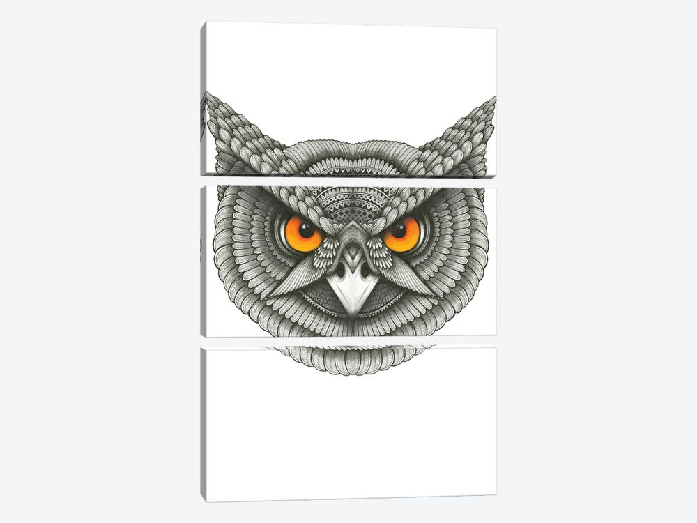 Owl Have by Ann Hutchinson 3-piece Canvas Print