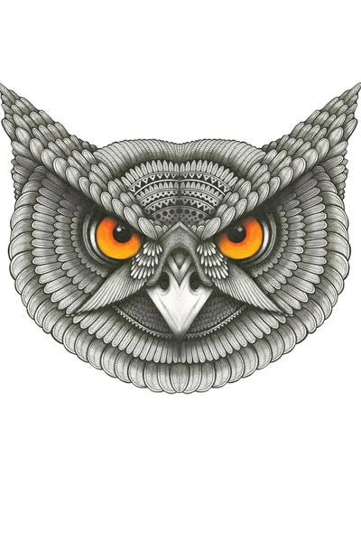 Owl Have