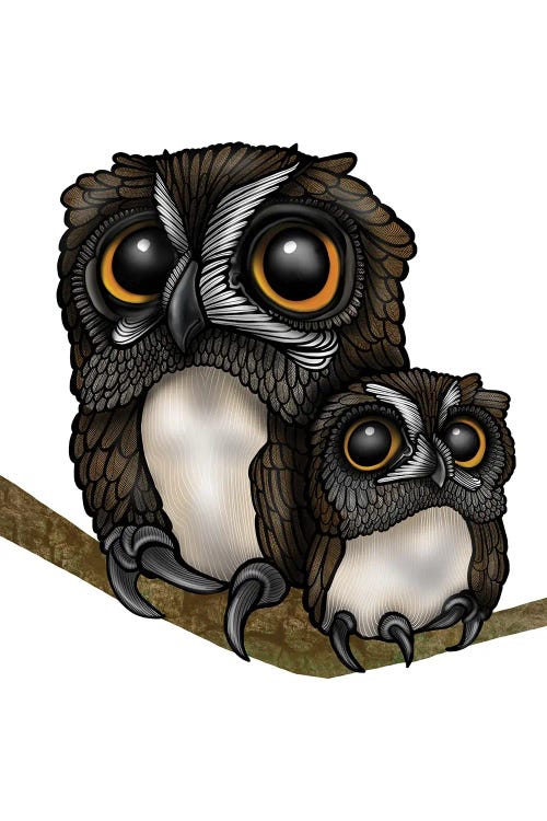Owls