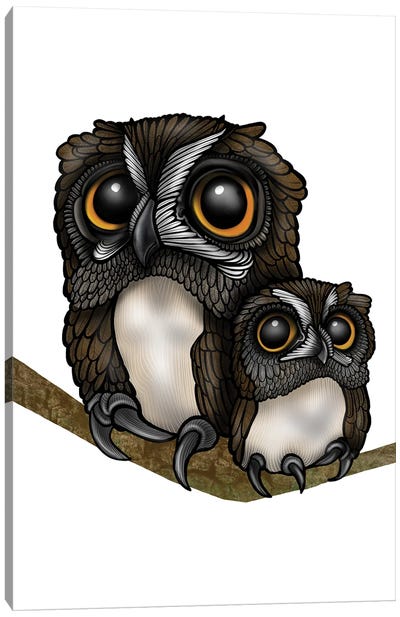Owls Canvas Art Print - Ann Hutchinson