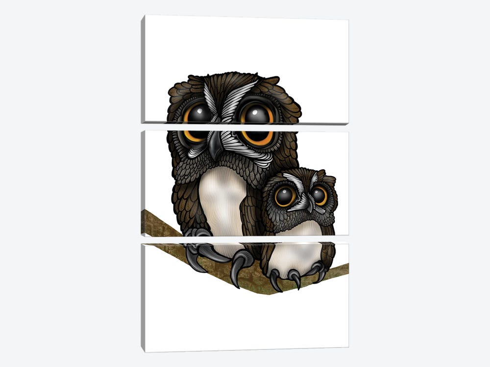 Owls by Ann Hutchinson 3-piece Canvas Print