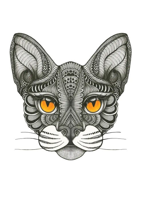 Peekaboo Cat by Ann Hutchinson wall art
