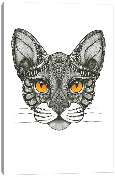Peekaboo Cat Canvas Art Print - Ann Hutchinson