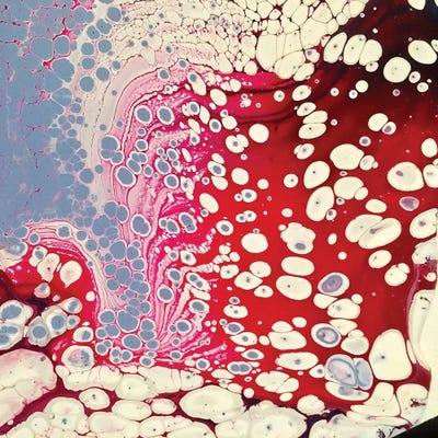 Redflash by Ann Hutchinson art print