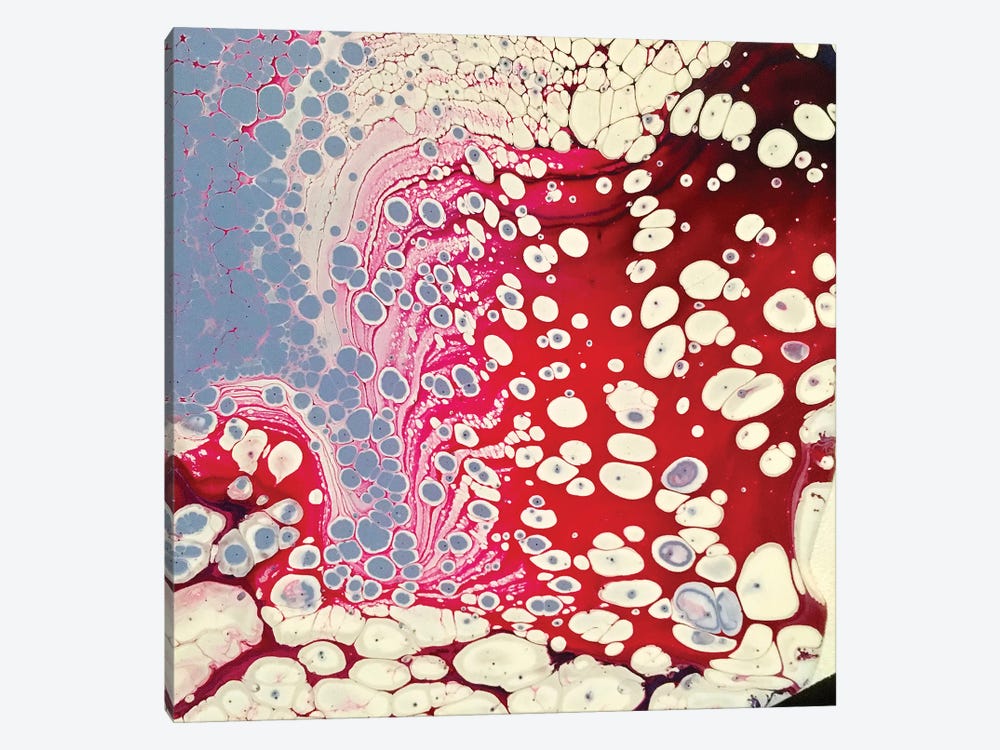 Redflash by Ann Hutchinson 1-piece Canvas Artwork