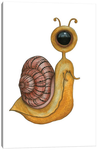 Snail Canvas Art Print - Snail Art