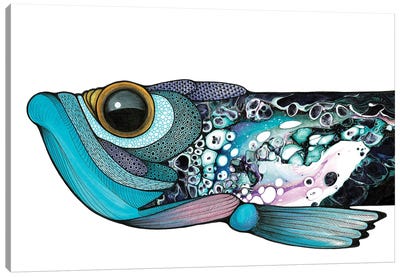 Big Eyed Fish Canvas Art Print - Ann Hutchinson