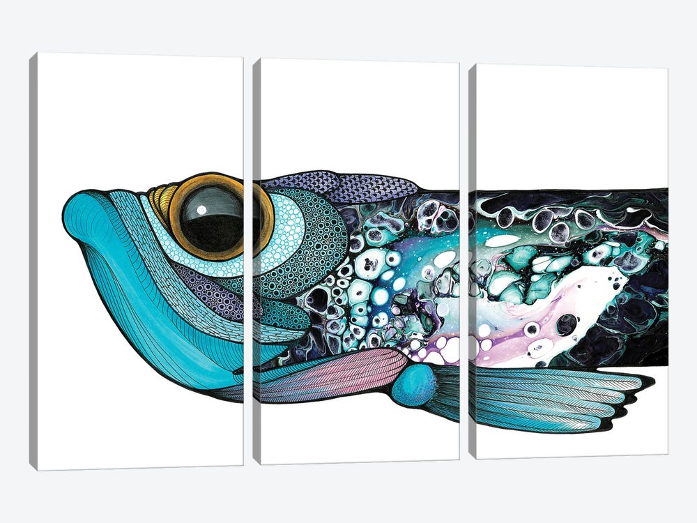 Big Eyed Fish by Ann Hutchinson 3-piece Canvas Art