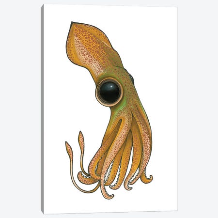 Squid Canvas Print #AHT70} by Ann Hutchinson Canvas Art Print