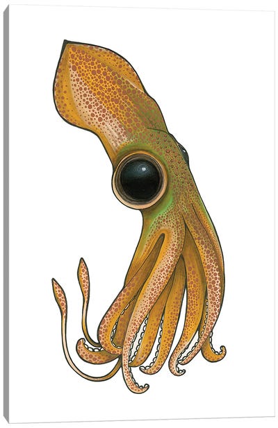 Squid Canvas Art Print - Squid Art
