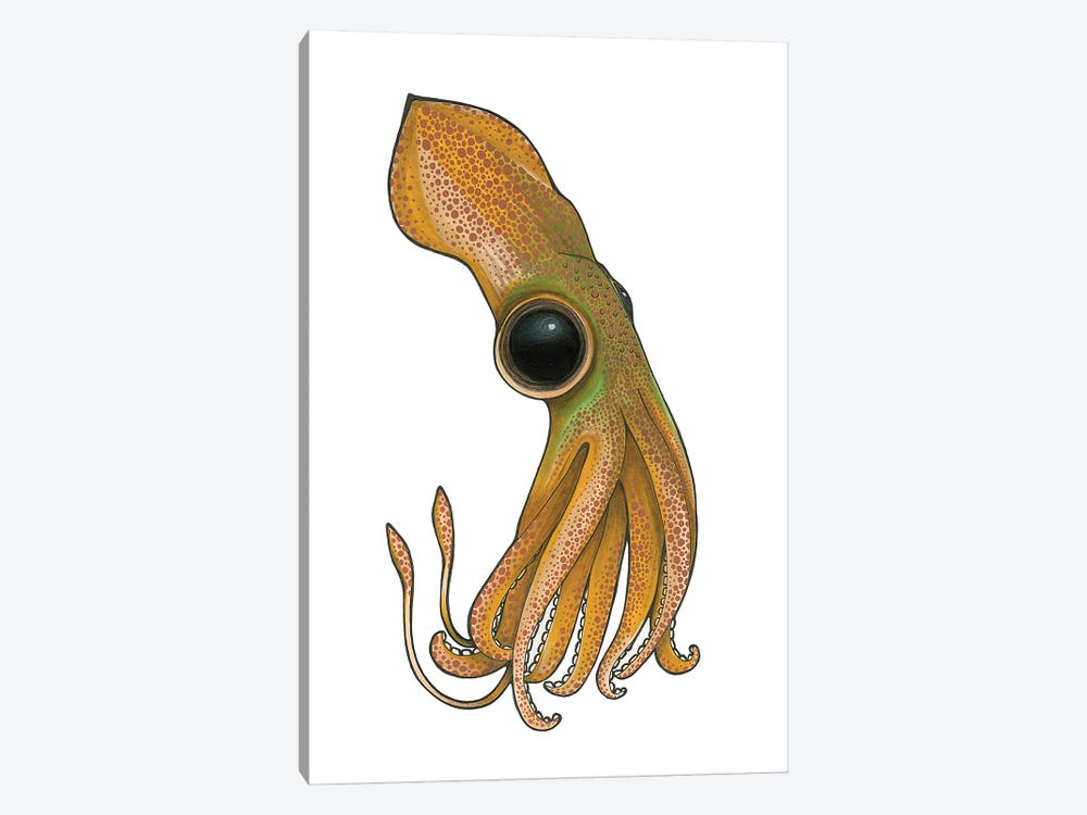 Squid by Ann Hutchinson 1-piece Canvas Art