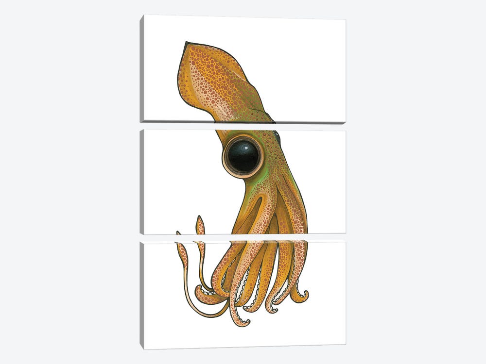 Squid by Ann Hutchinson 3-piece Canvas Art