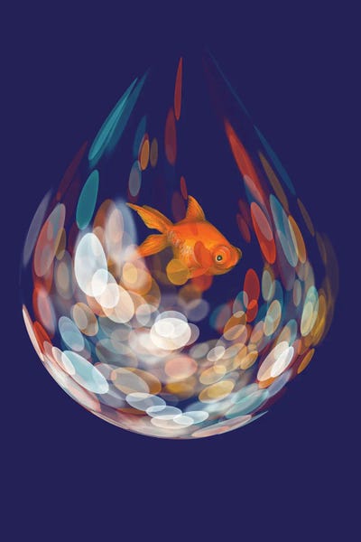 Goldfish: The Trip Home by Ann Hutchinson