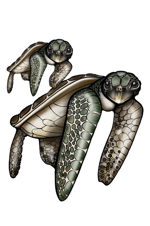 Turtle Time by Ann Hutchinson wall art