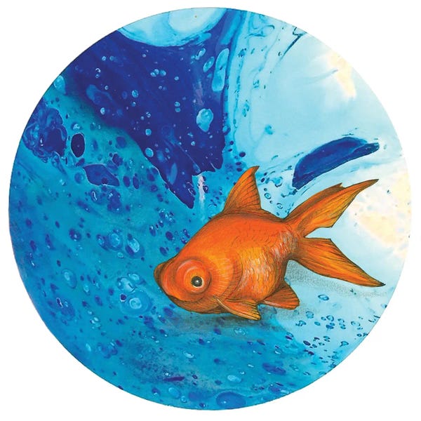 Goldfish: You Looking At Me by Ann Hutchinson